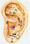 oreille equivalences : connue dans la Chine ancienne, l'auriculothérapie utilise les zones réflexes du pavillon de l'oreille afin de dépister et de corriger les déséquilibres