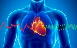 La "Cohérence cardiaque" part du principe que le cœur, qui possède 40 000 neurones, n’est pas seulement une pompe, mais qu’il a une véritable intelligence.