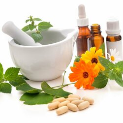 plantes homeopathiques spiritsoleil
